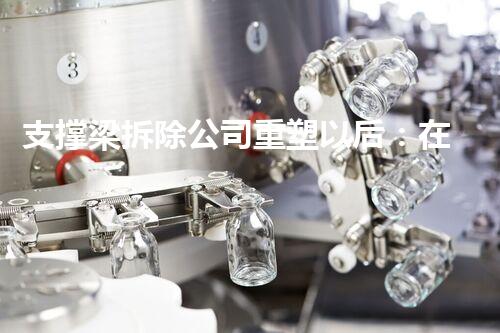 支撑梁拆除公司重塑以后：在化工厂拆除中的革新探索！